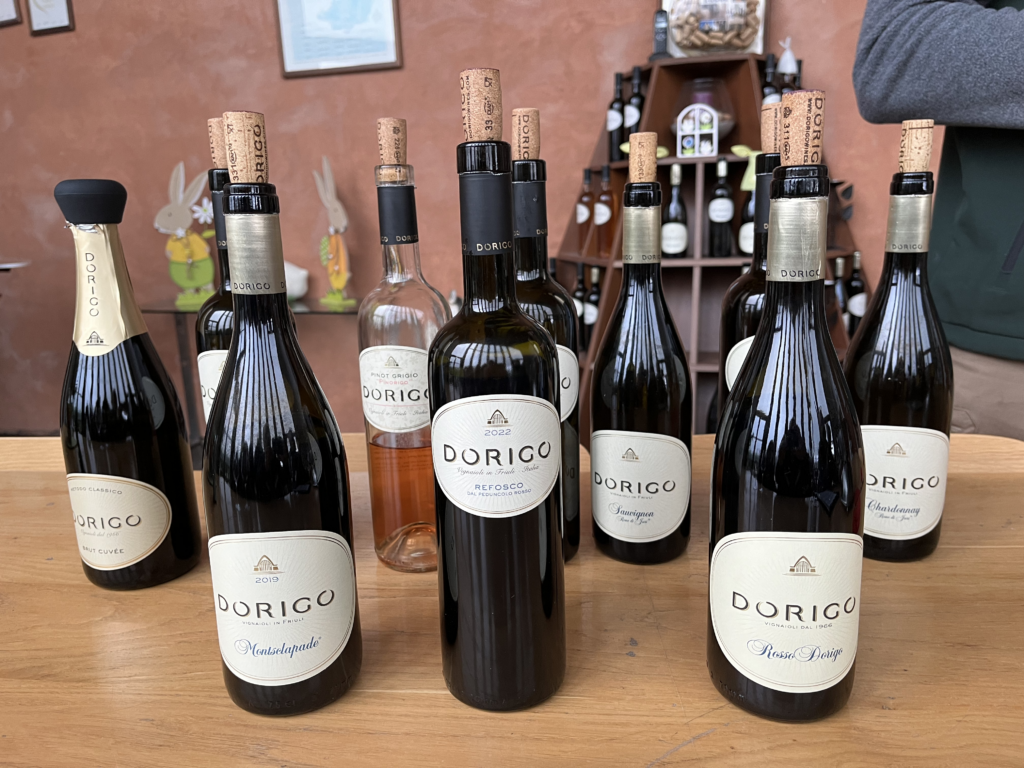 Friaul: Zu Gast bei Alessio Dorigo Weinprobe Dorigo in 2024