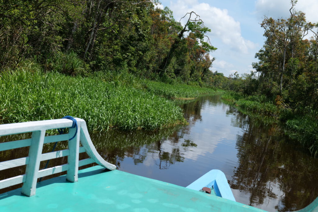 Bootsfahrt Kalimantan 2024